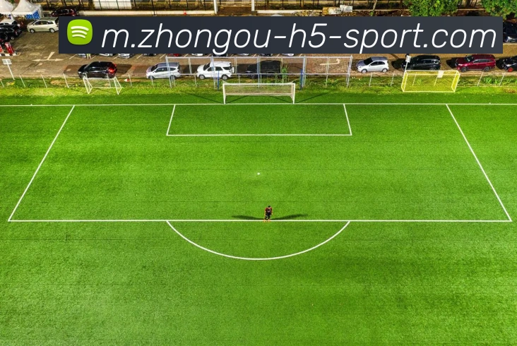 中欧体育平台生态图