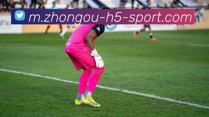 中欧体育全站App